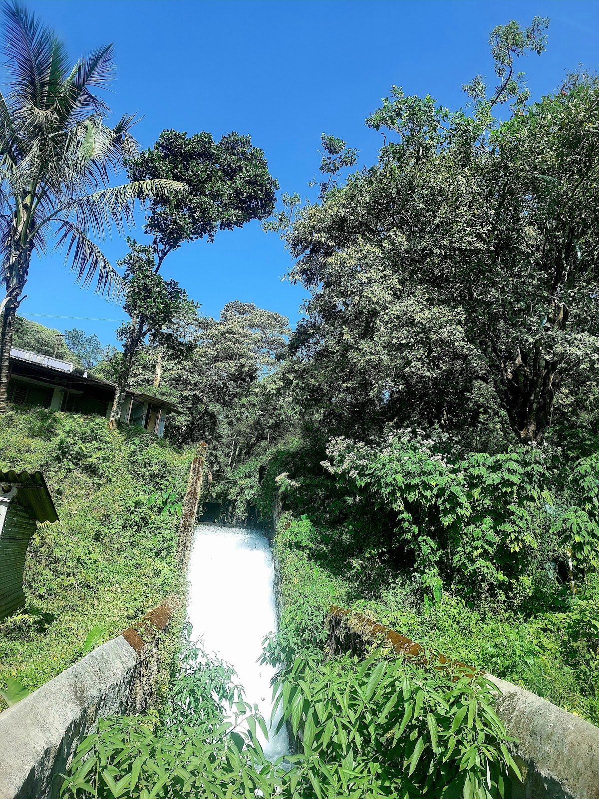 Sholayar Dam and Reservoir