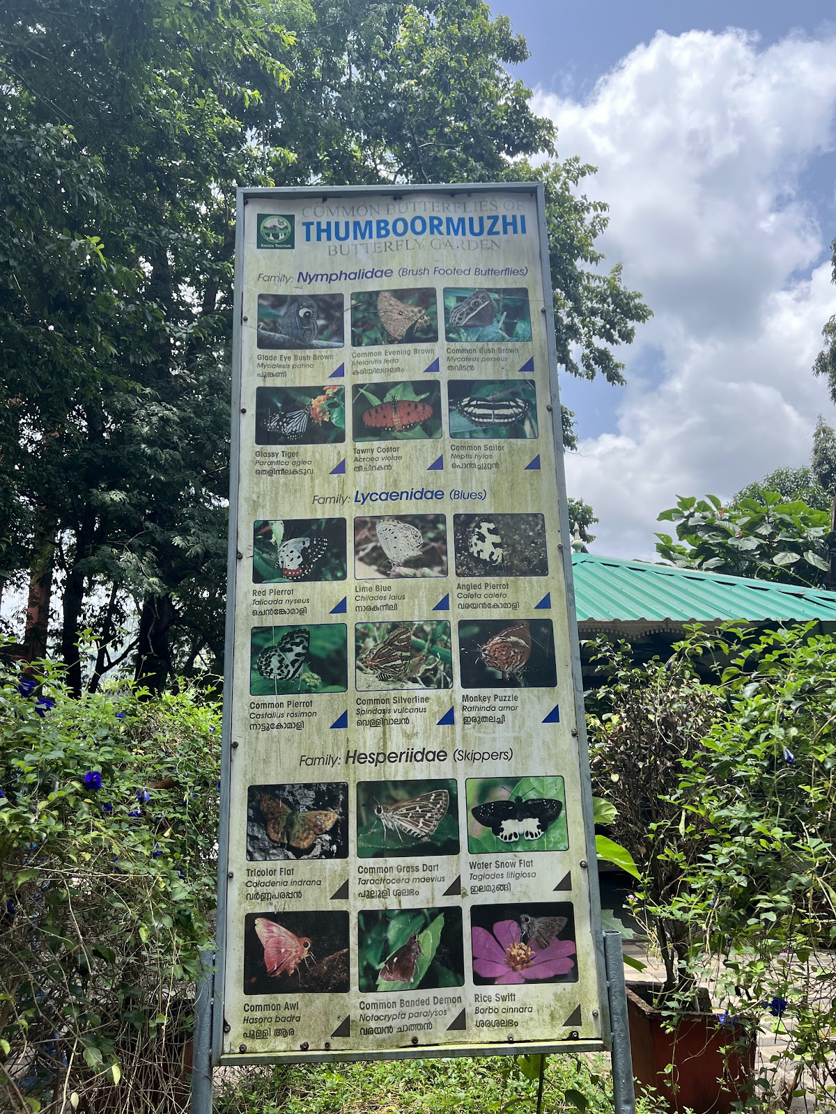 Thumboormuzhi Garden and Check Dam