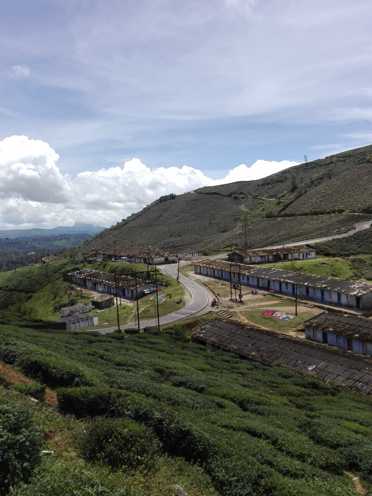 Tea Plantations near Valparai