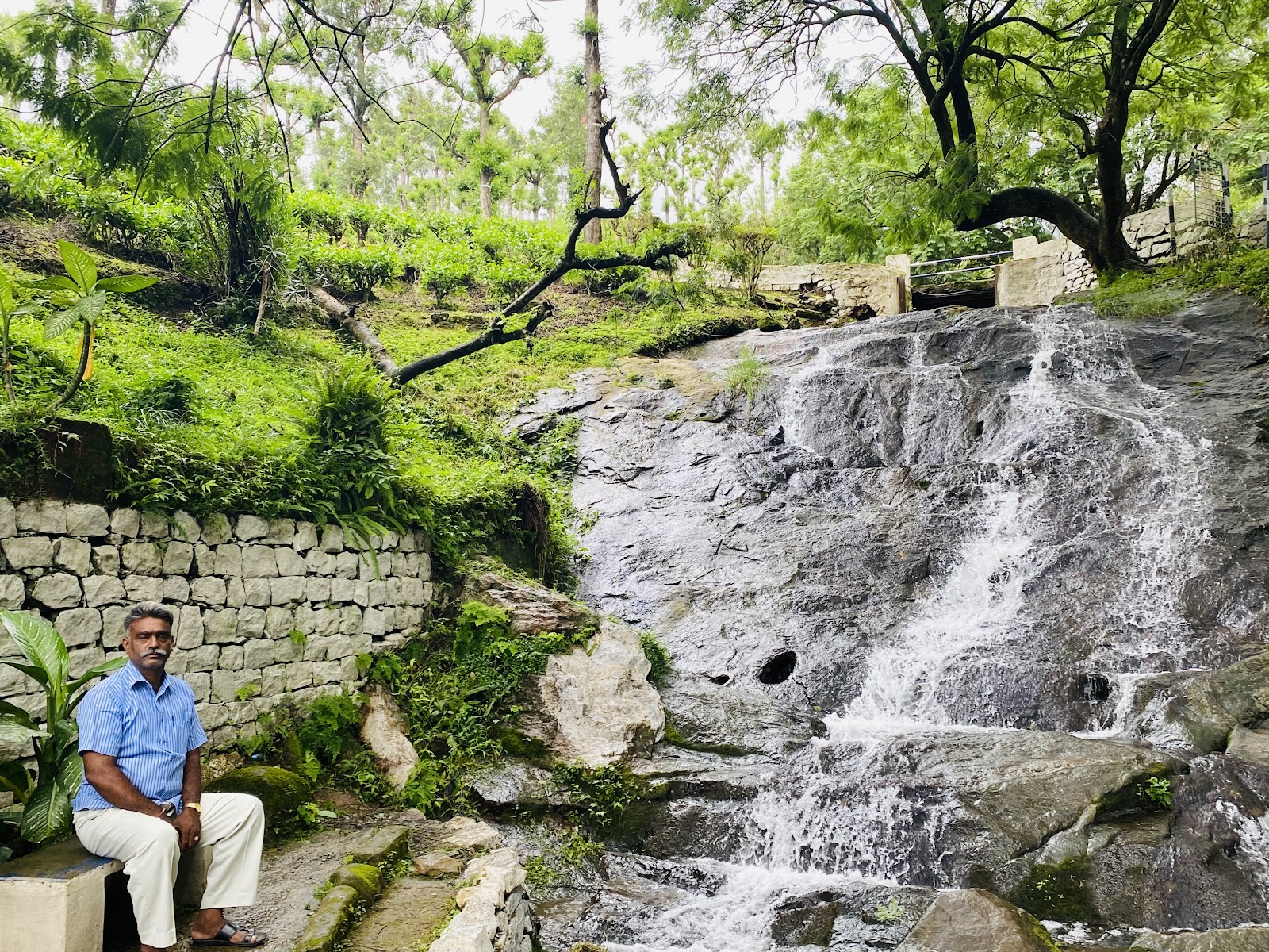 Tea Plantations near Valparai
