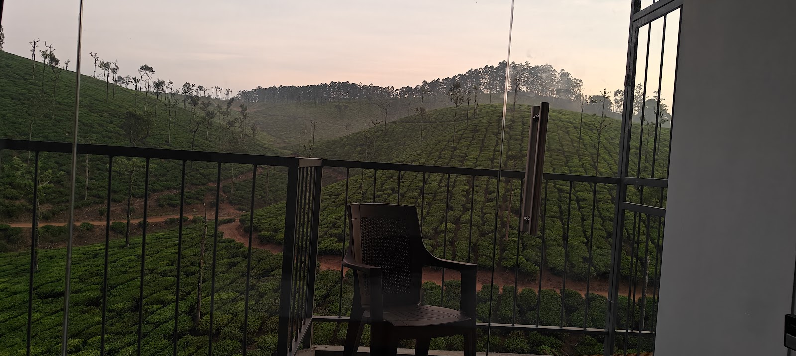 Tea Plantations near Valparai