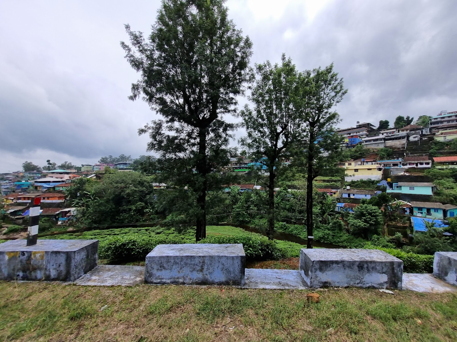 Tea Plantations near Valparai