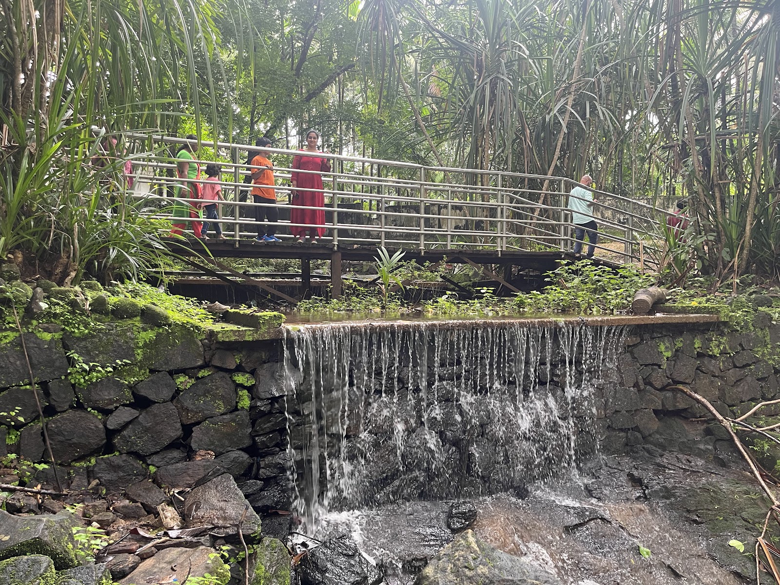 Vazhachal Falls and Viewpoint
