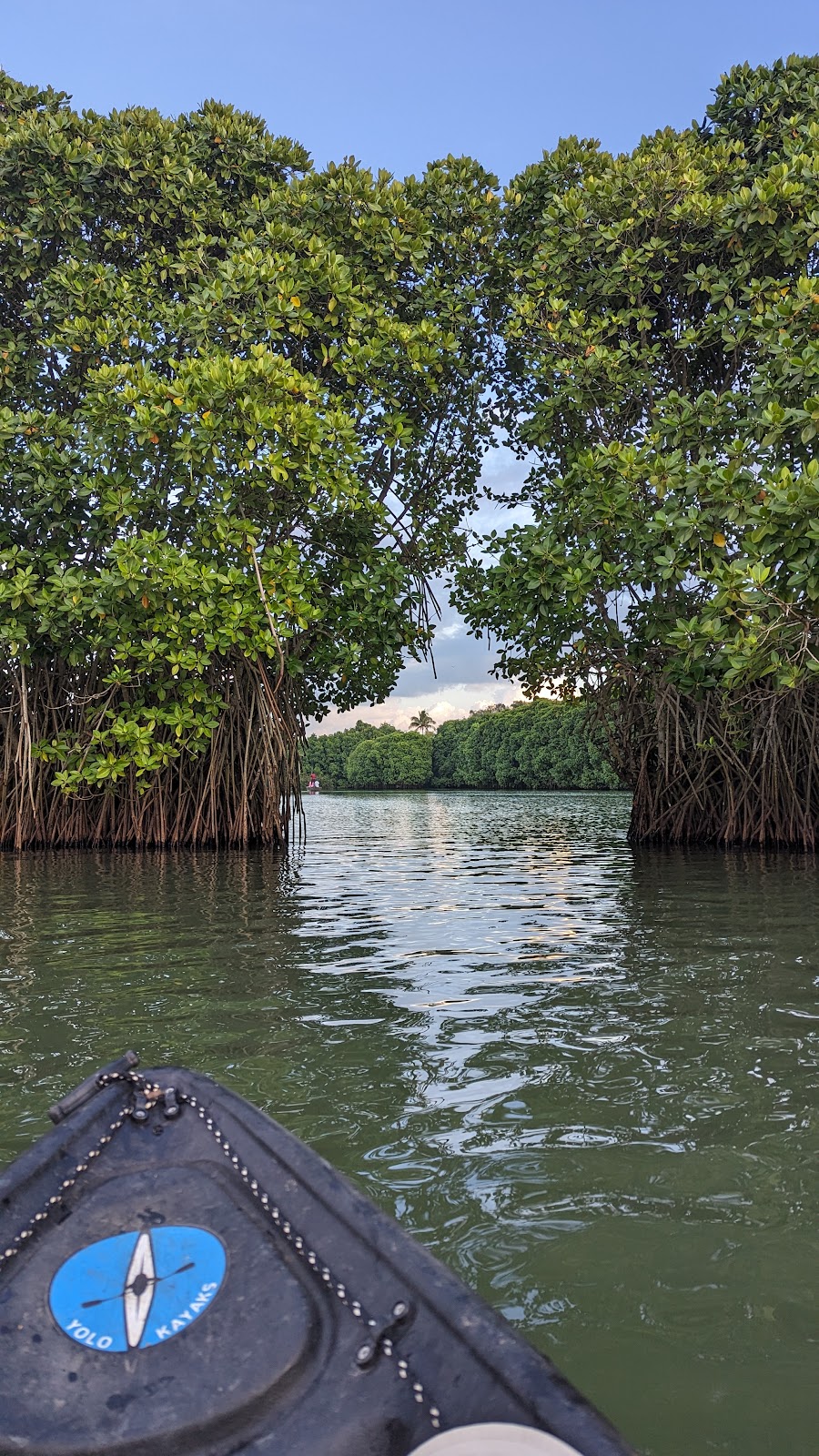 Kandakkadu Wetlands