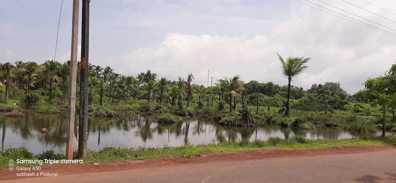 Pallikkara Backwater Walk