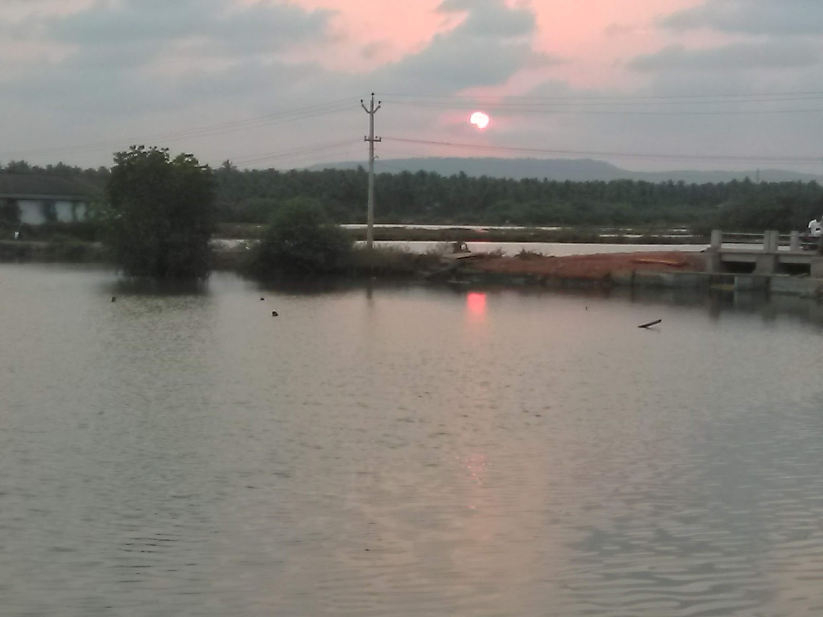 Pallikkara Backwater Walk