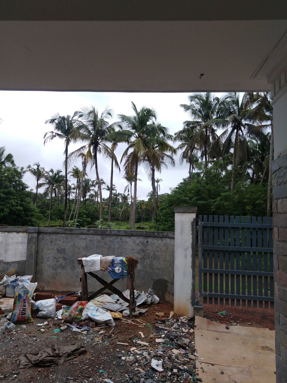 Pallikkara Backwater Walk