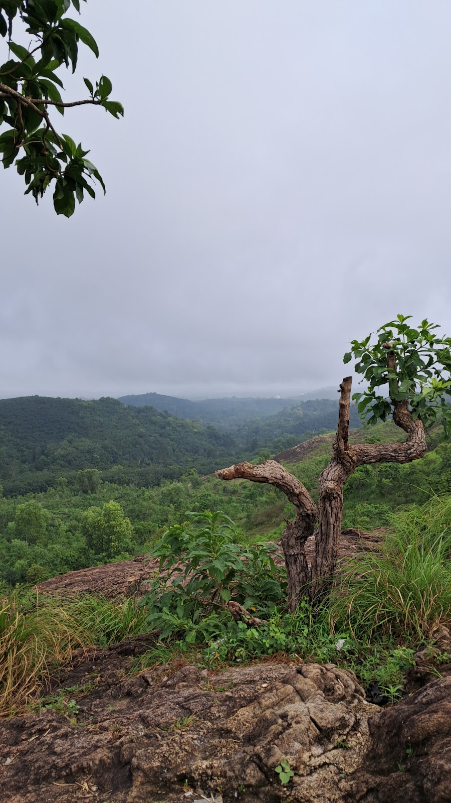 Velimala Rock Viewpoint