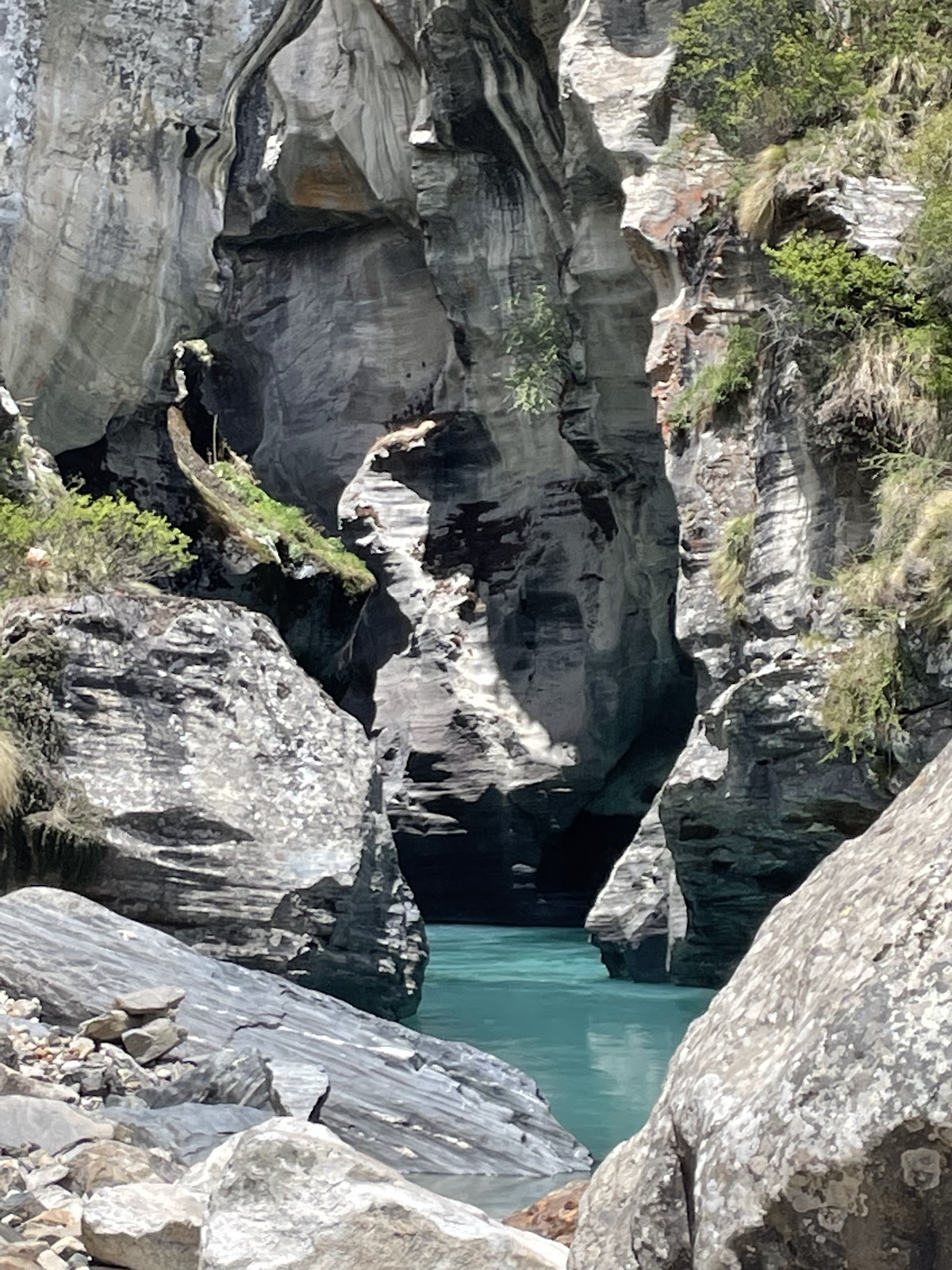 Nanda Devi National Park