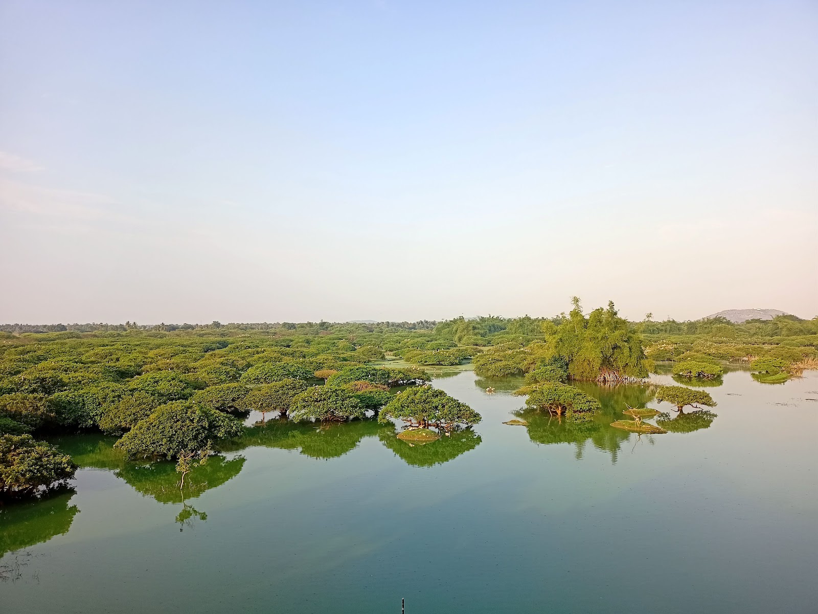 Vedanthangal Bird Sanctuary