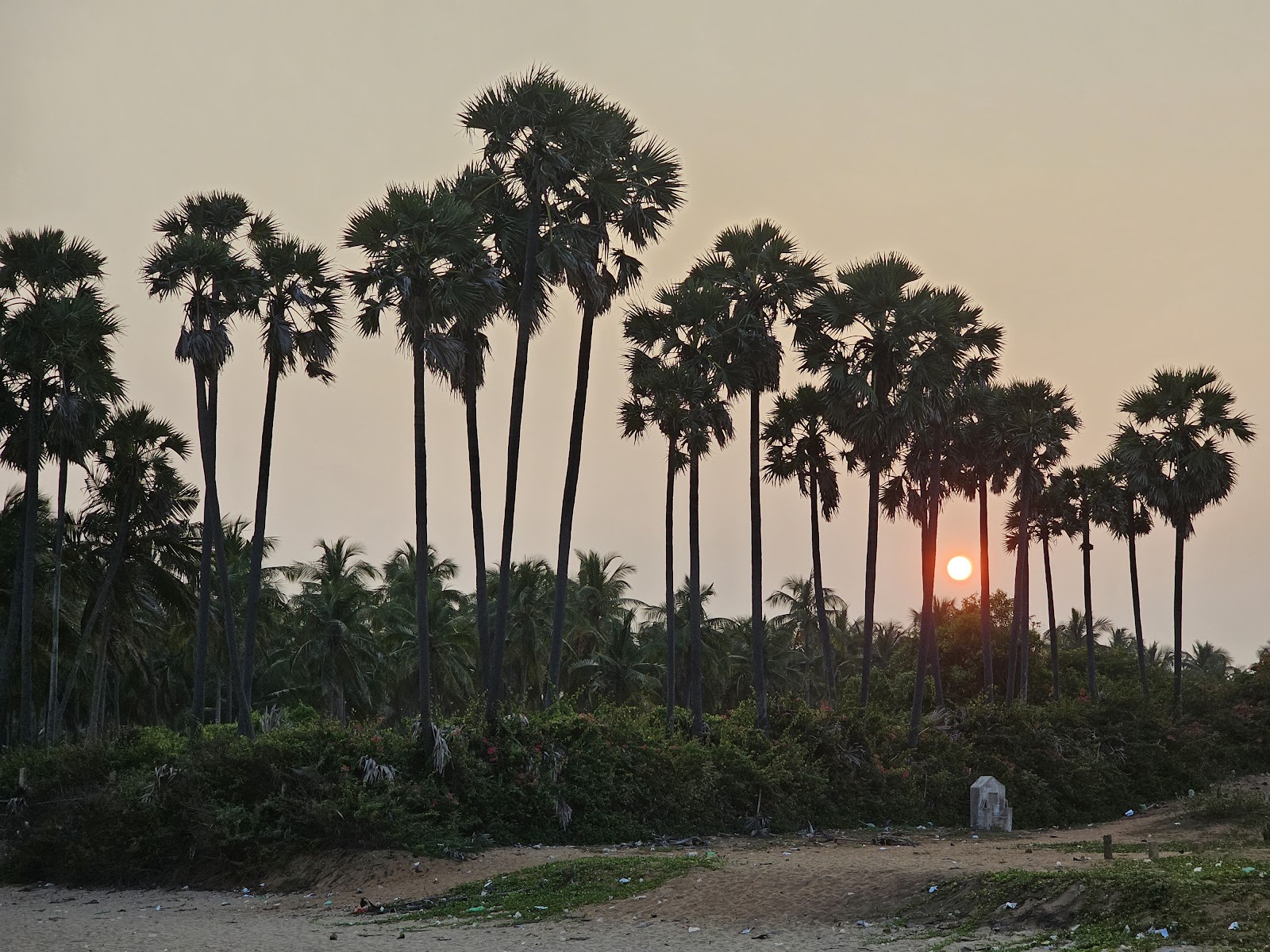Auroville Beach