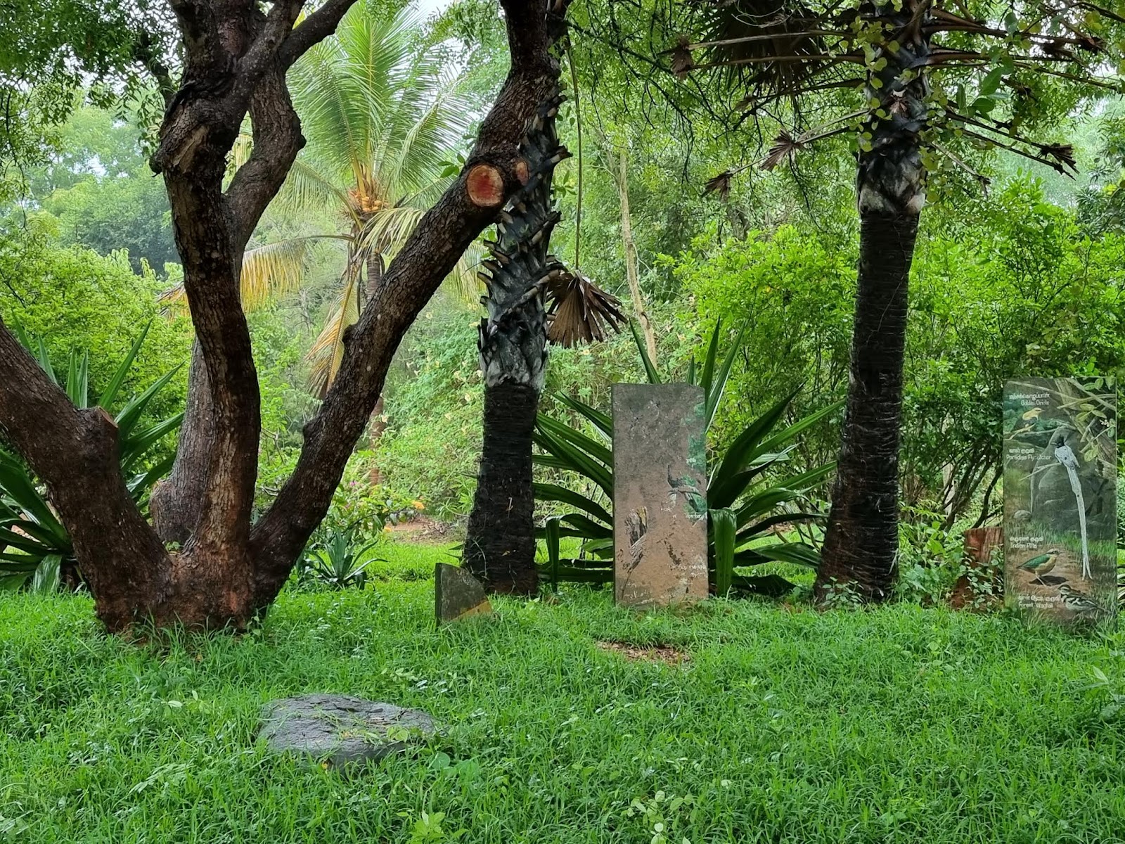 Auroville Botanical Garden