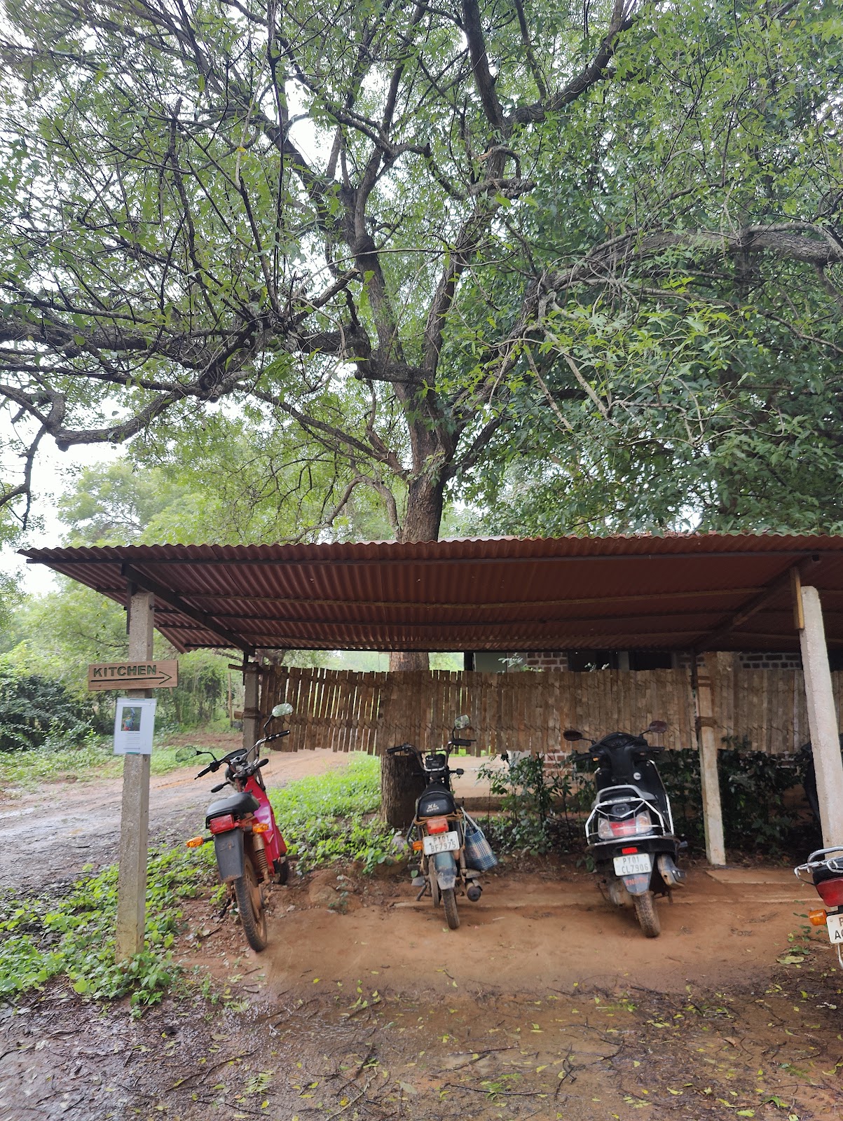 Auroville Botanical Garden