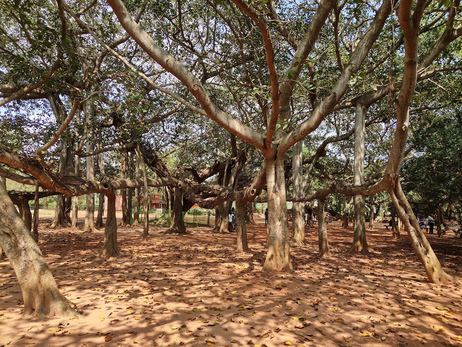 Auroville Visitors Centre