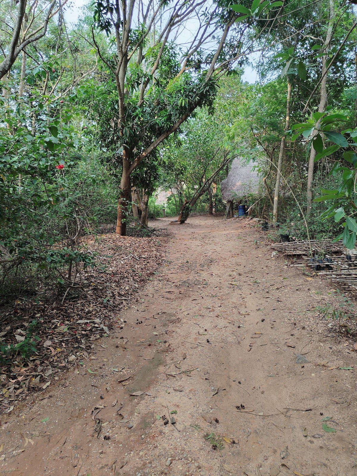 Sadhana Forest