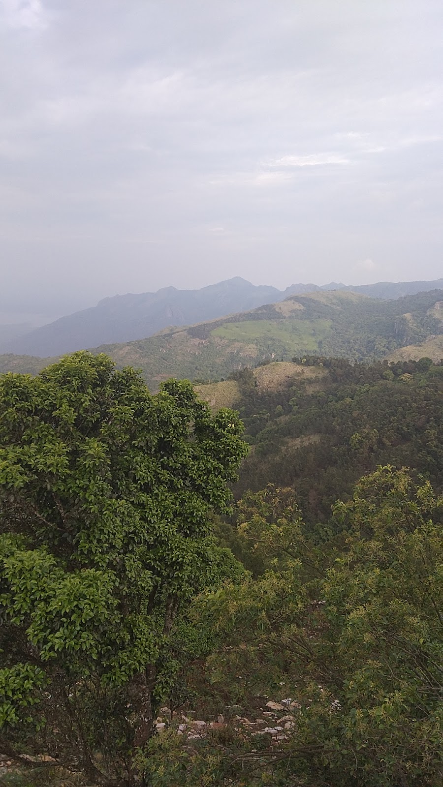 Kodanad View Point