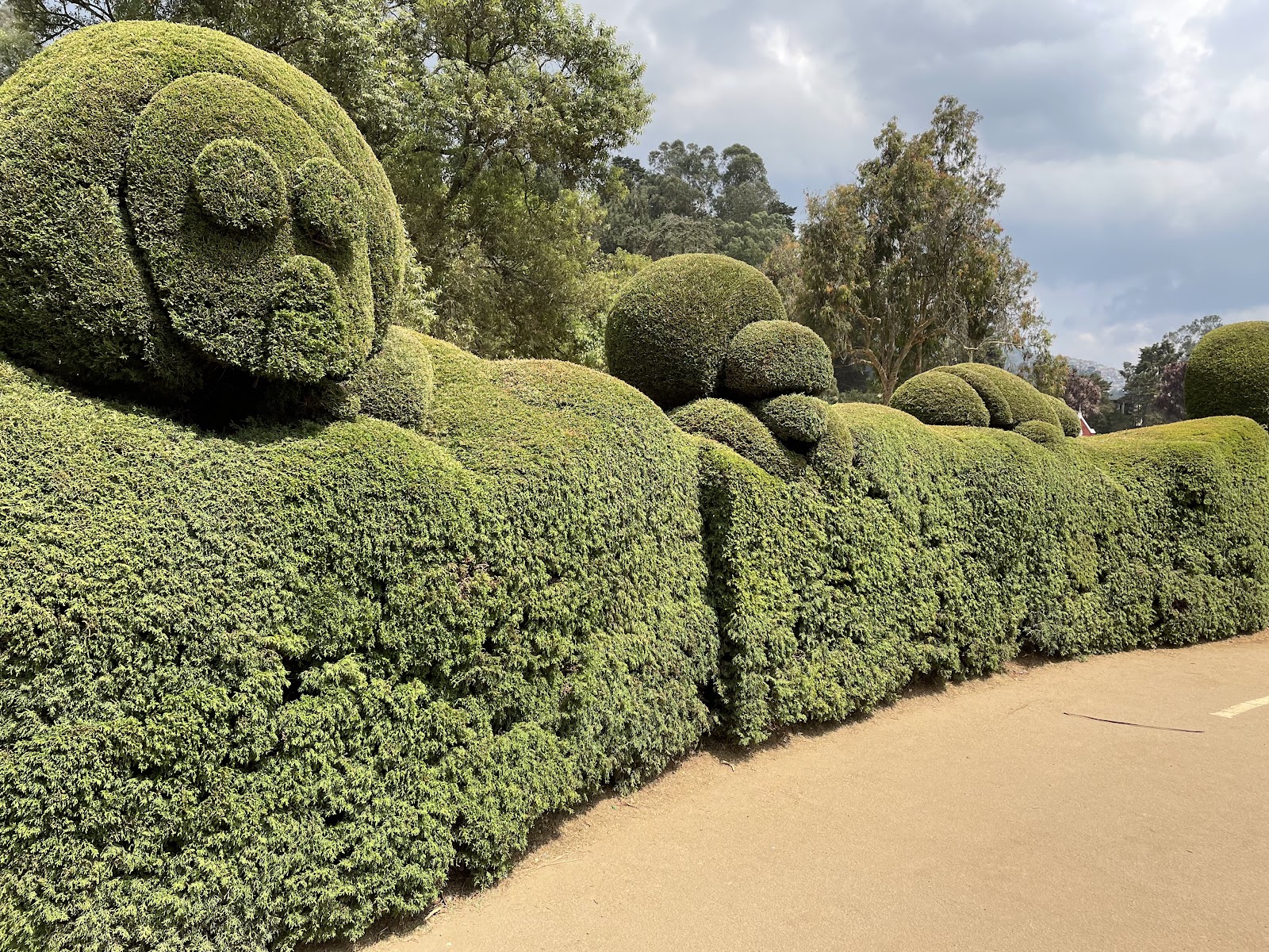Botanical Garden of Ooty