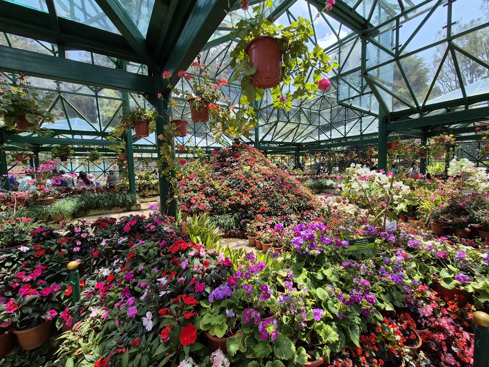 Botanical Garden of Ooty