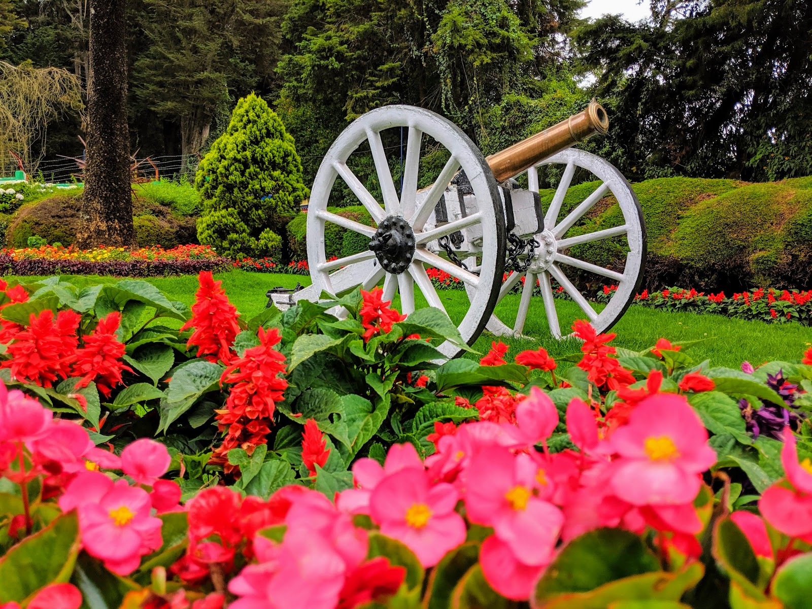 Botanical Garden of Ooty