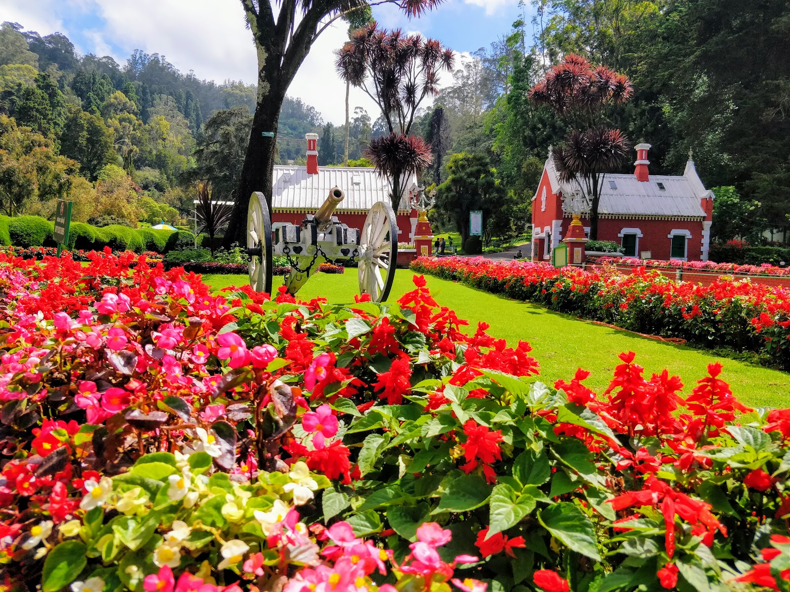 Ooty Botanical Gardens