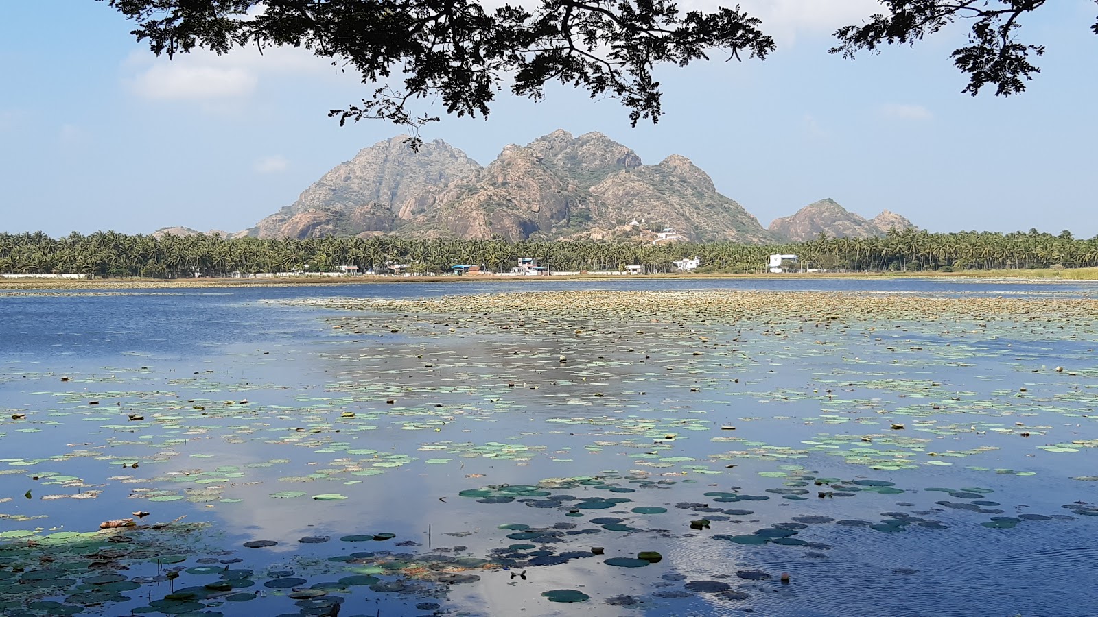 Azhagappapuram - A Cultural Retreat in Tamil Nadu