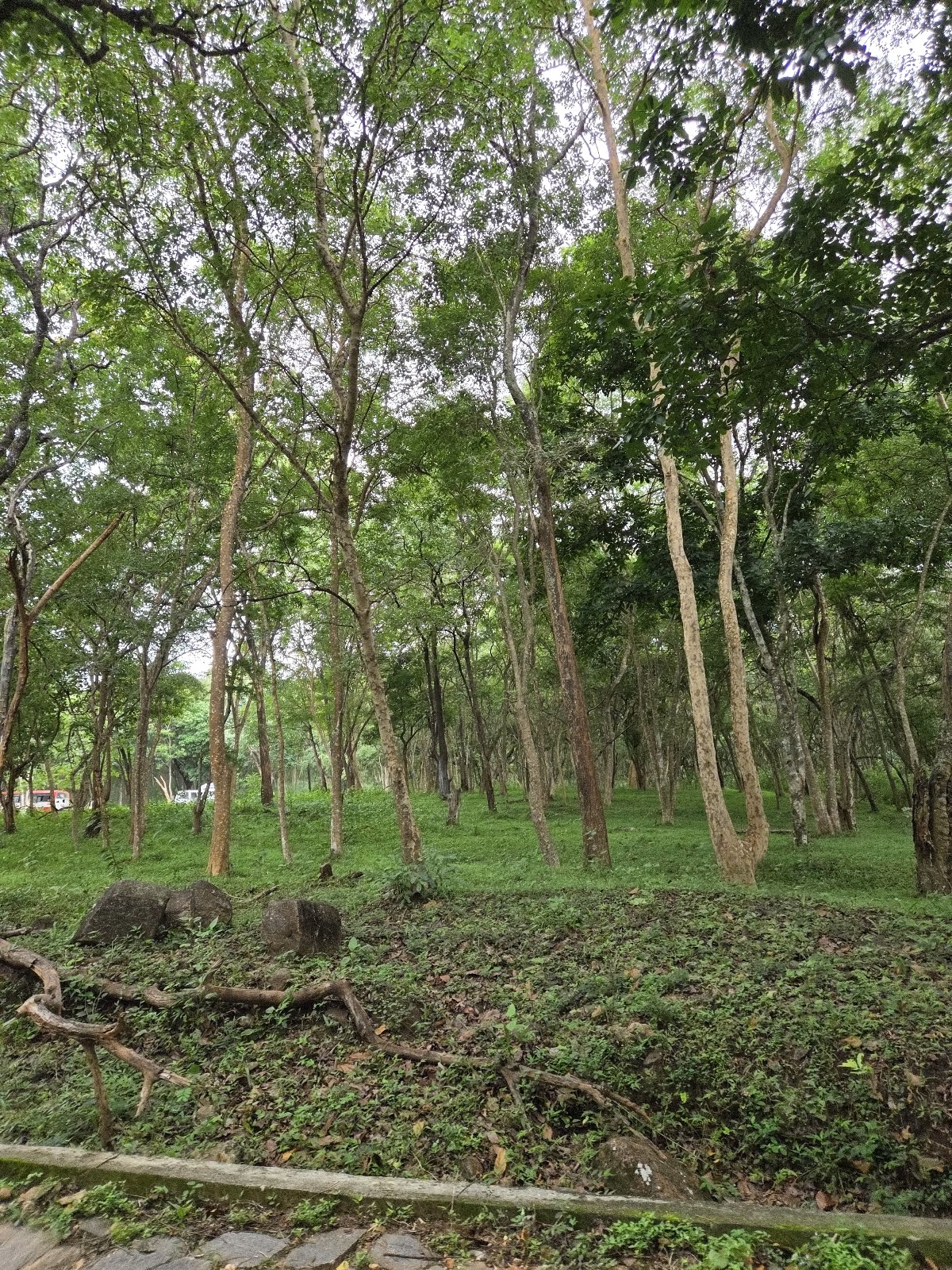 B R Hills Trekking Trails