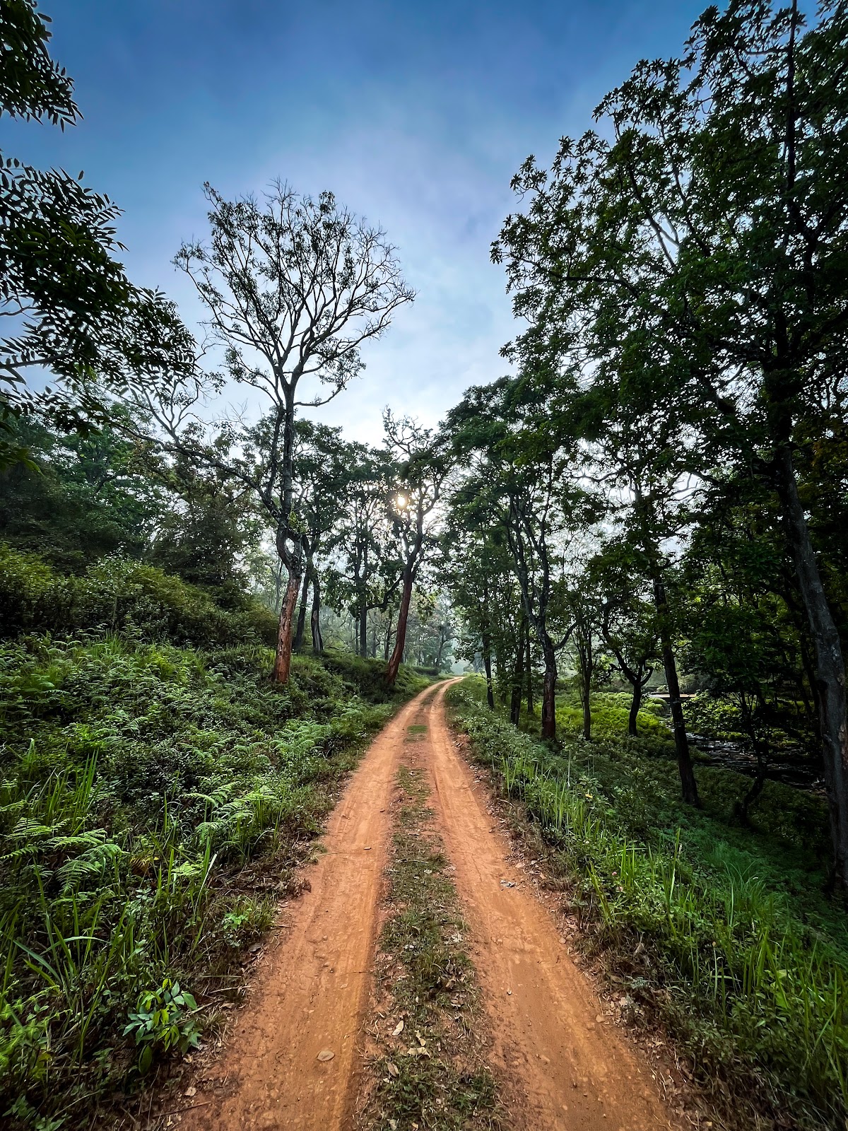 B R Hills Wildlife Sanctuary