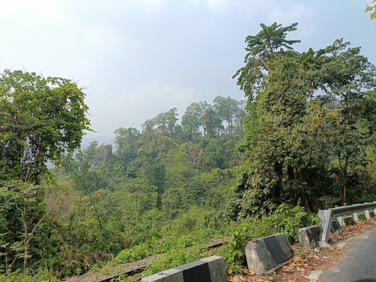 Mahananda Wildlife Sanctuary