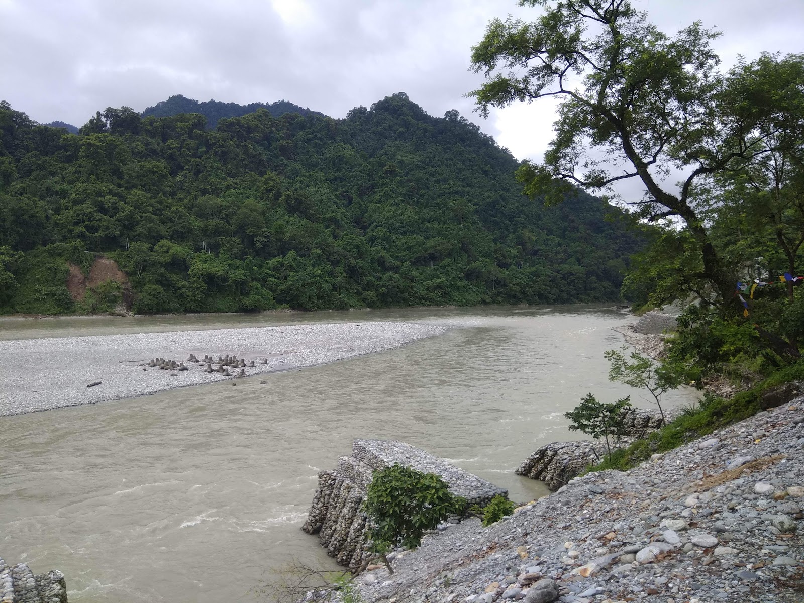 Mahananda Wildlife Sanctuary