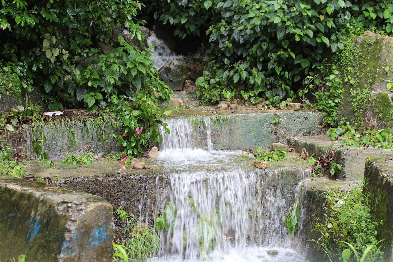 Mahananda Wildlife Sanctuary