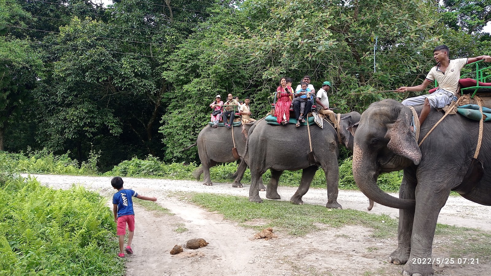 Mahananda Wildlife Sanctuary