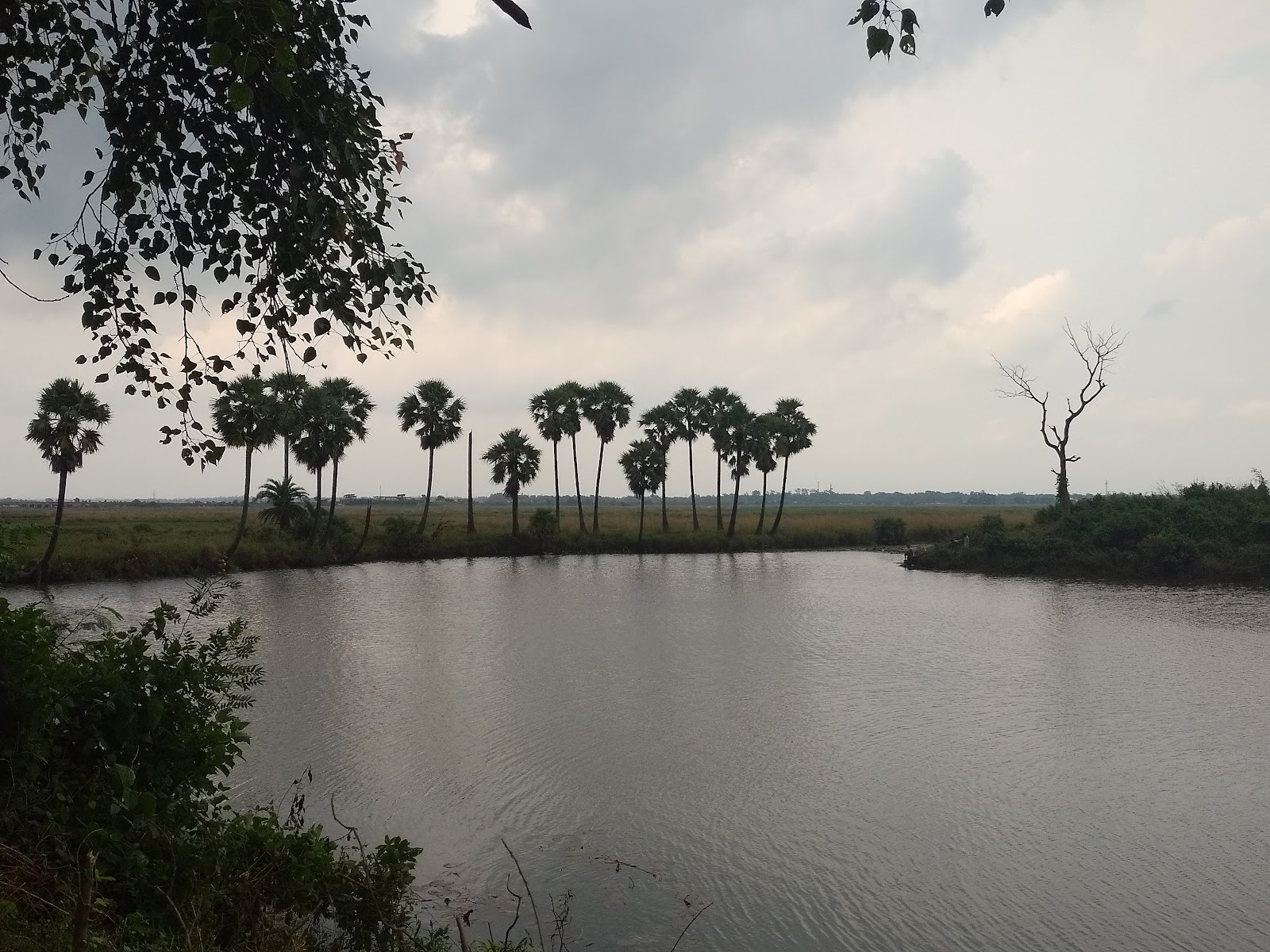 Baleswar Museum