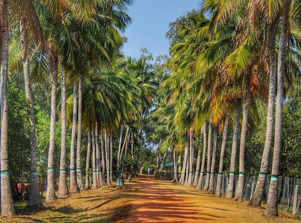 Bhitarkanika National Park