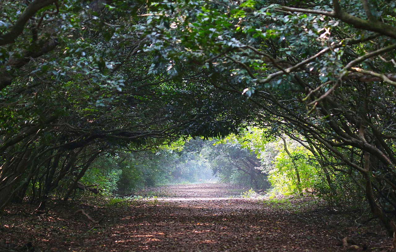 Bhitarkanika National Park