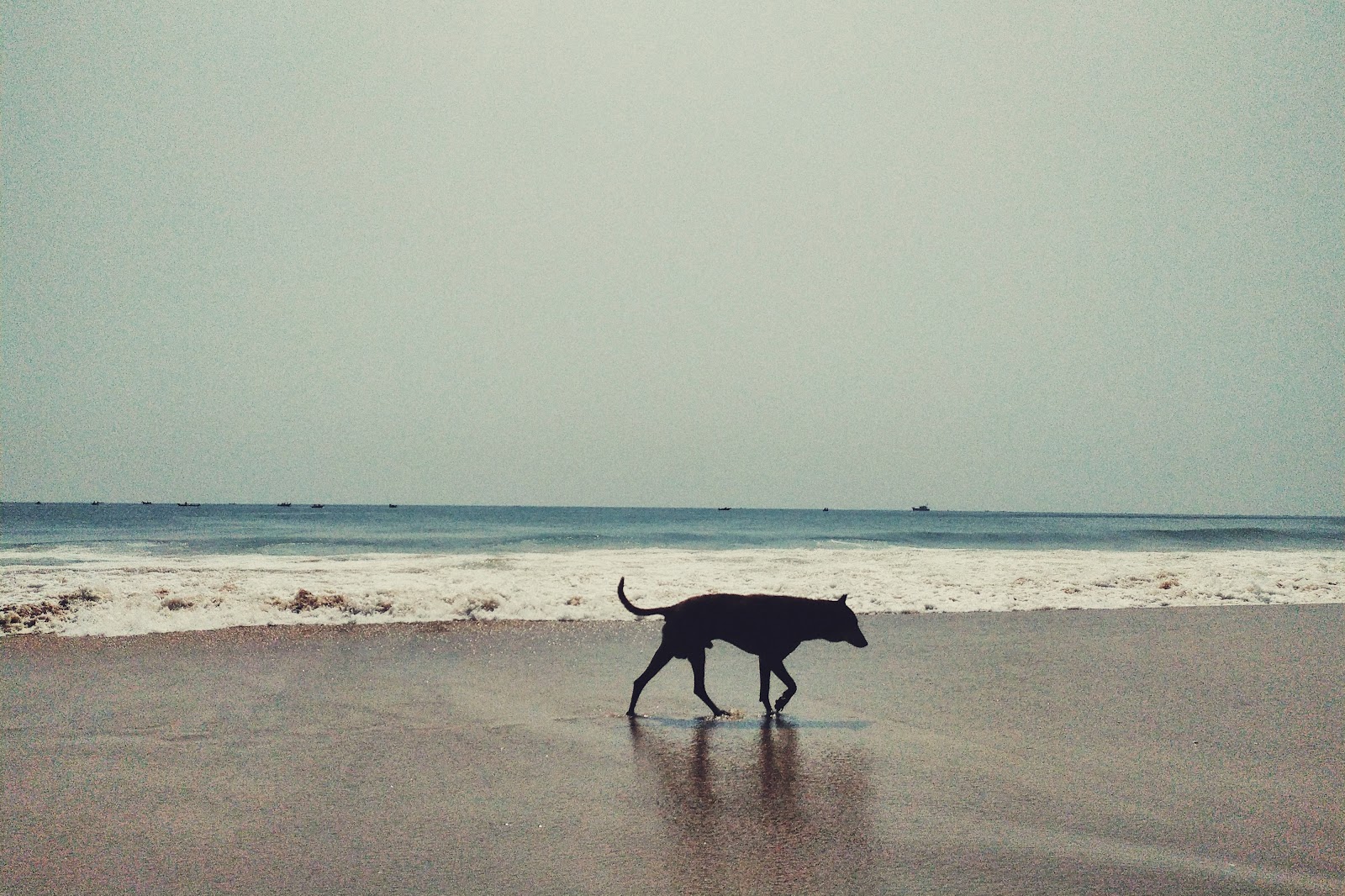 Chandrabhaga Beach Konark Odisha India