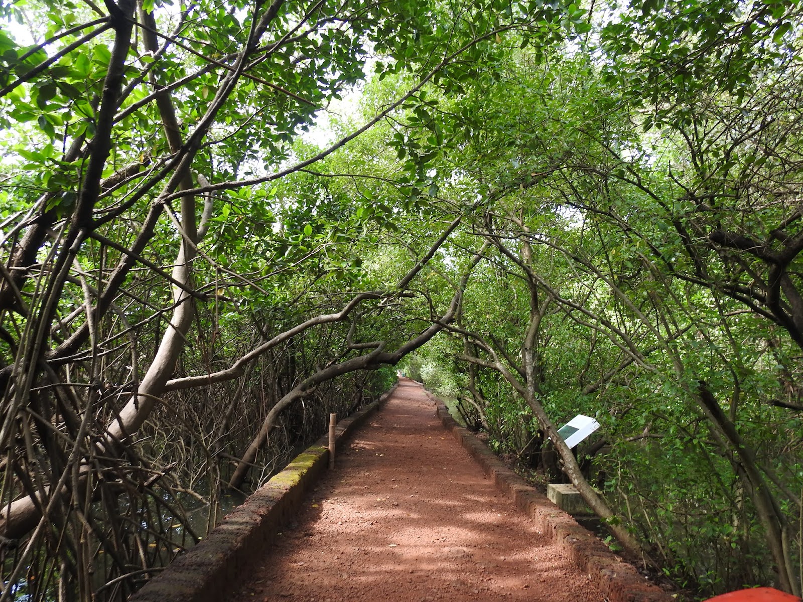 Salim Ali Bird Sanctuary