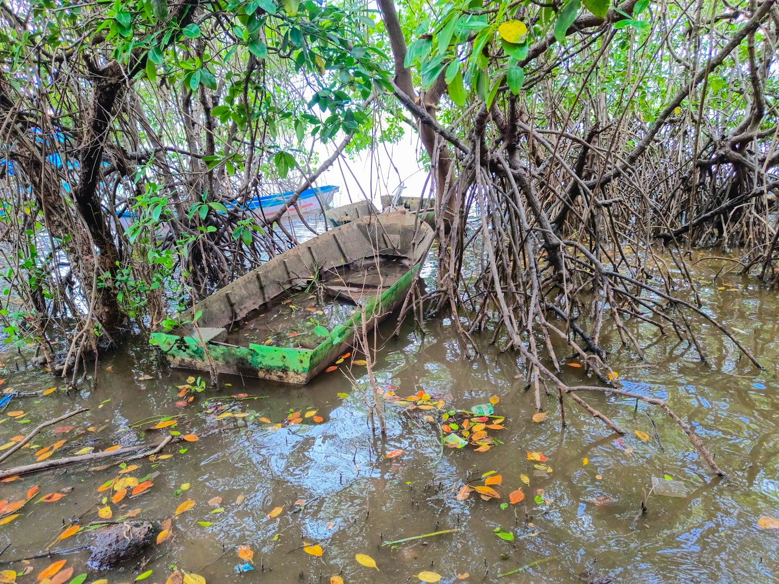 Salim Ali Bird Sanctuary