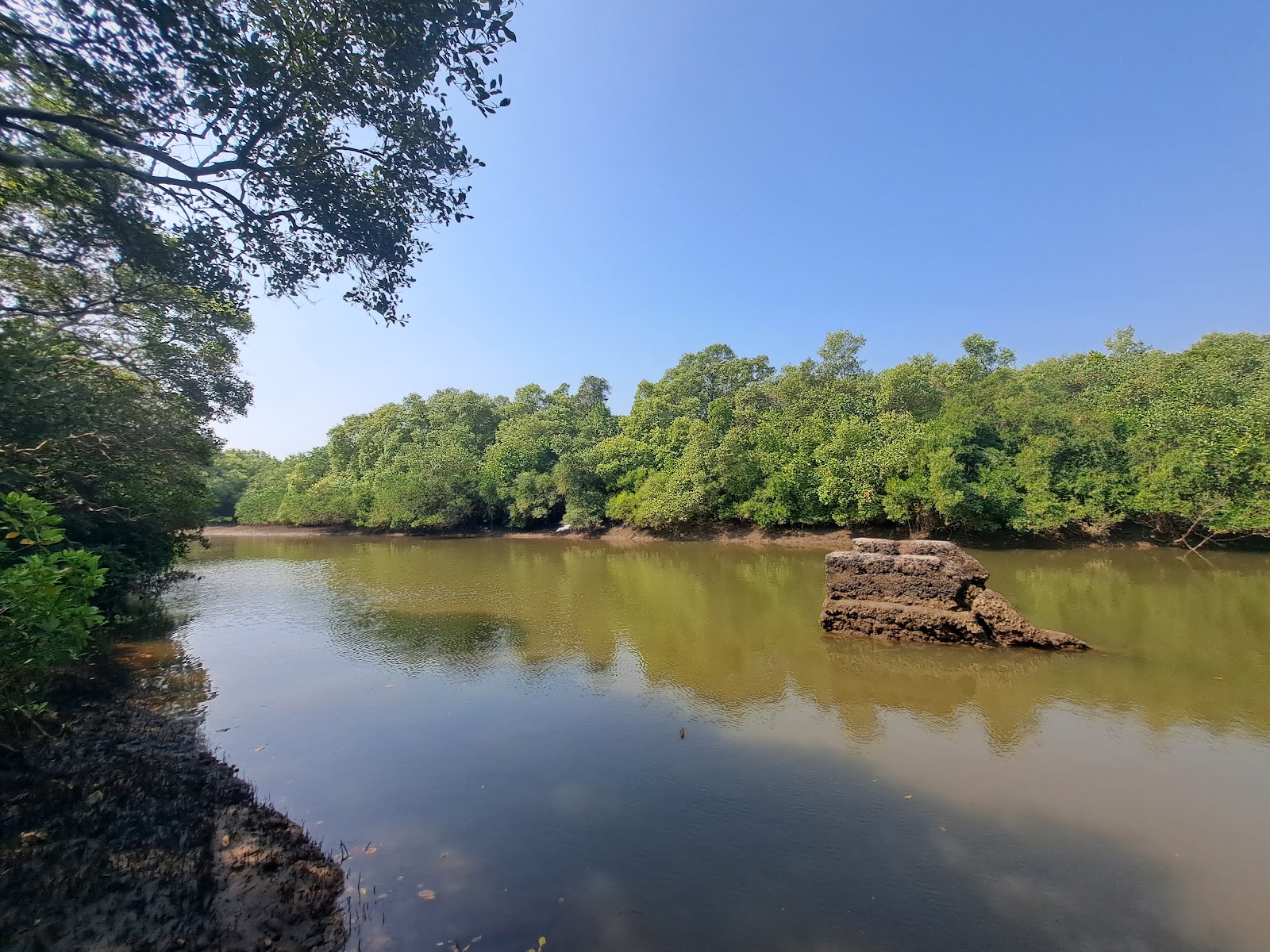 Salim Ali Bird Sanctuary