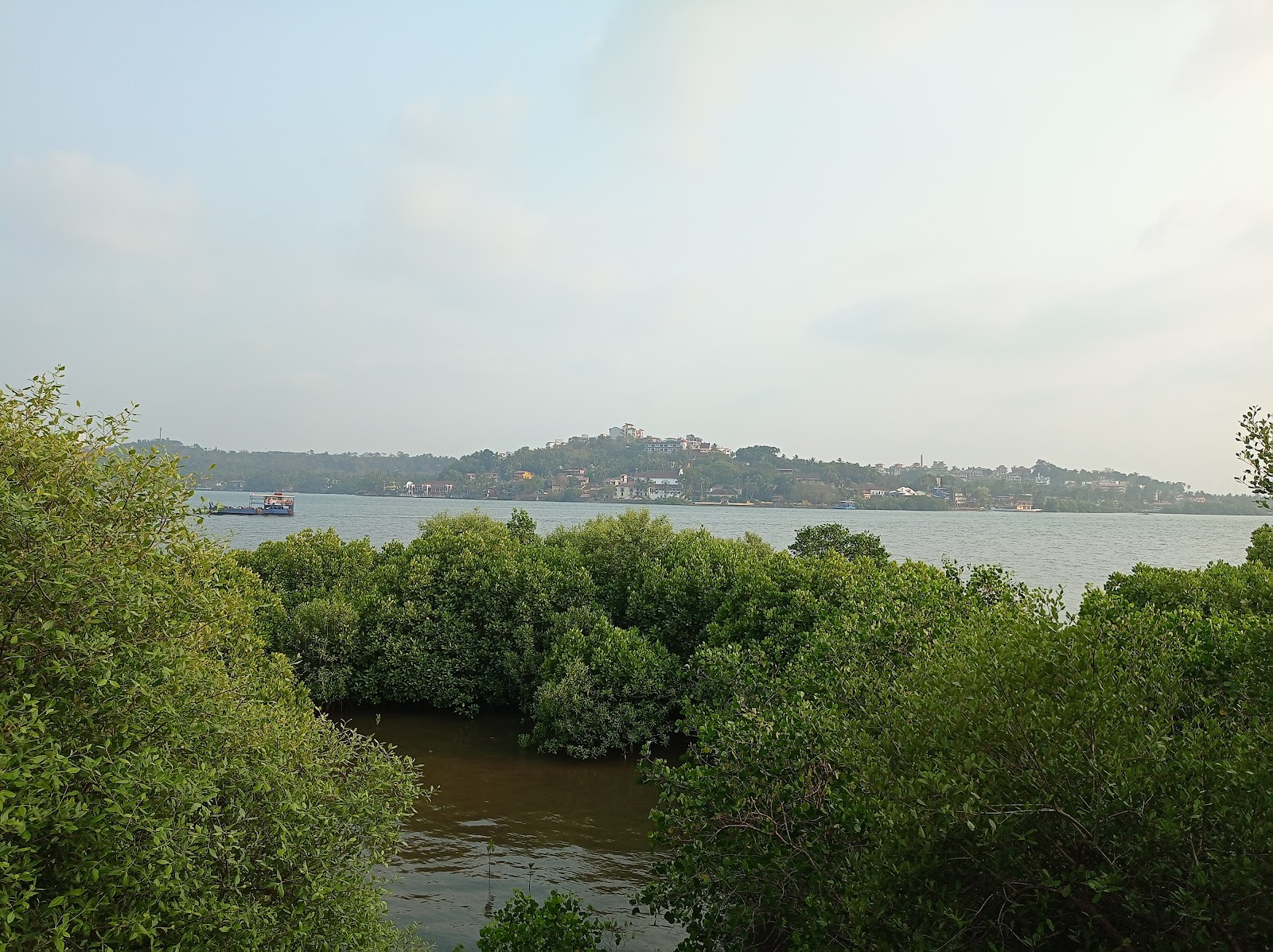 Salim Ali Bird Sanctuary