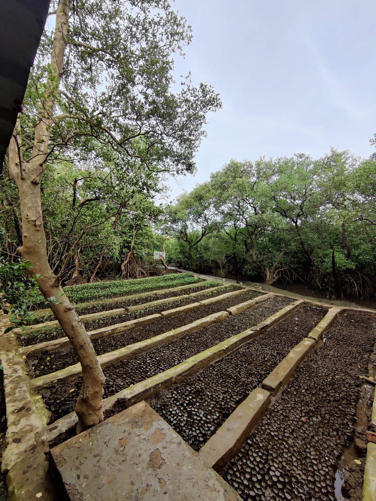 Salim Ali Bird Sanctuary