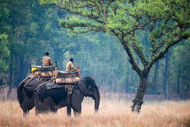 Kanha National Park