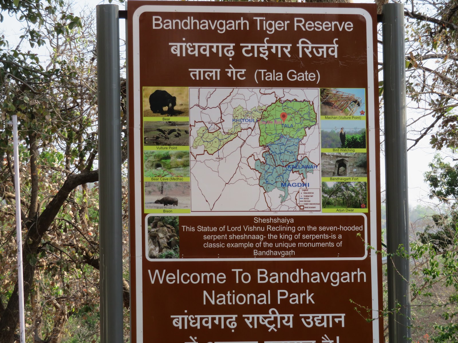 Kanha National Park