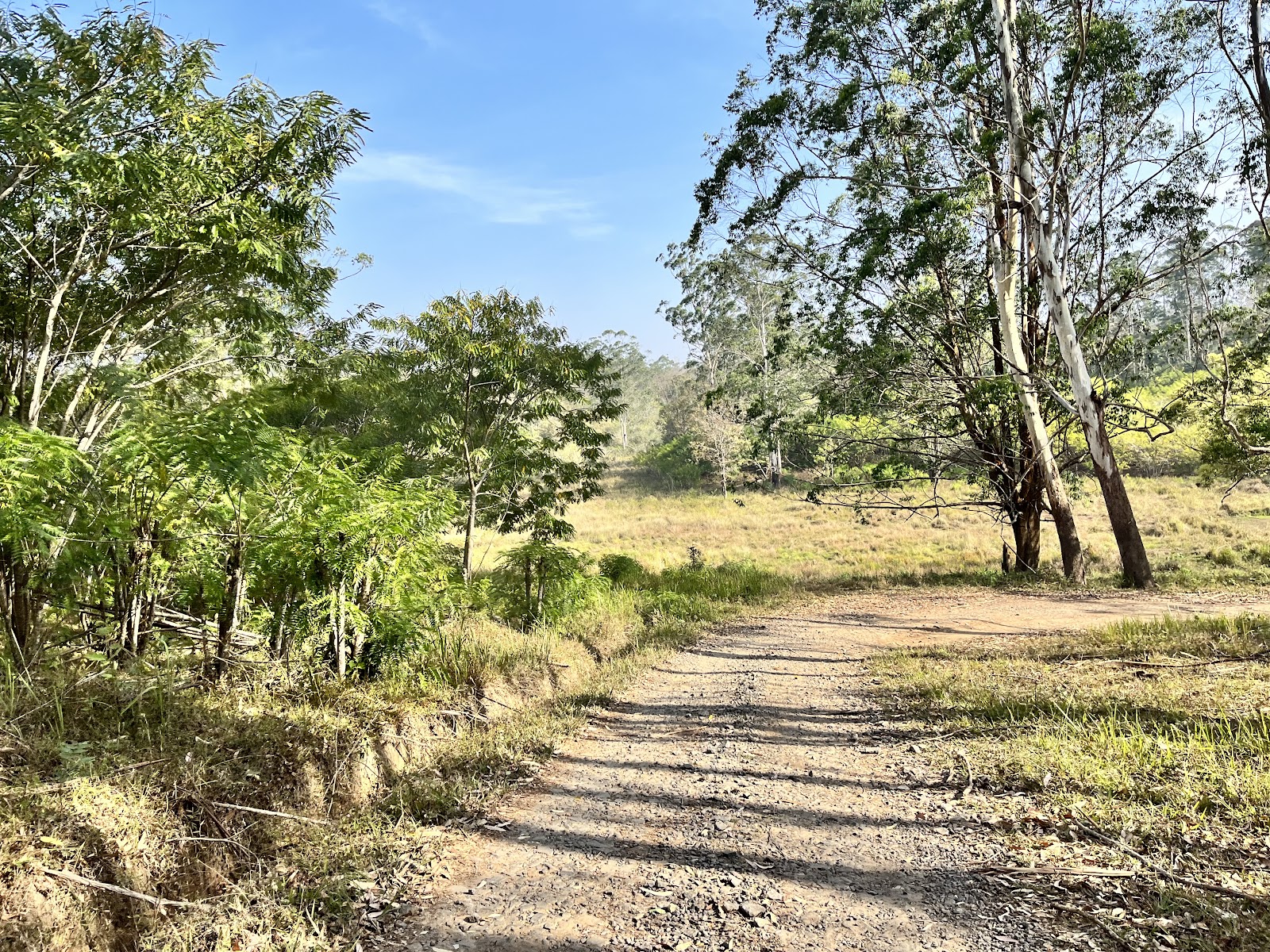 Wayanad Wildlife Sanctuary