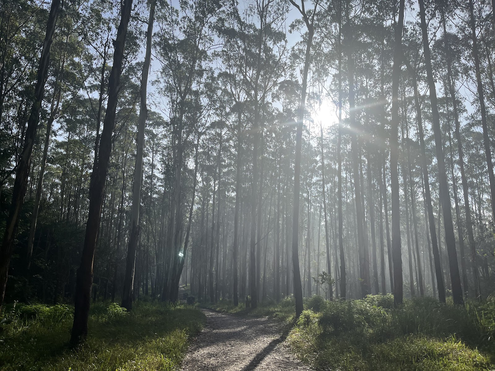 Wayanad Wildlife Sanctuary
