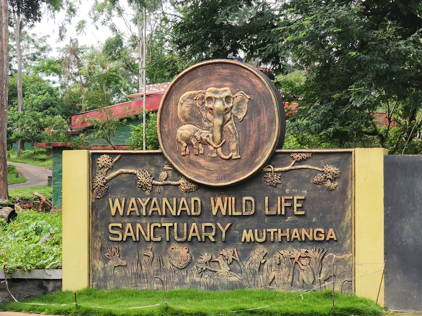 Wayanad Wildlife Sanctuary