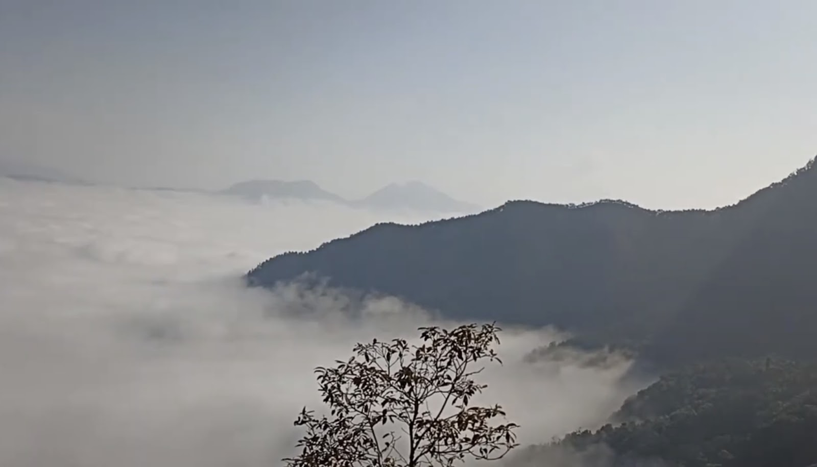 Himalayan Nature Walks