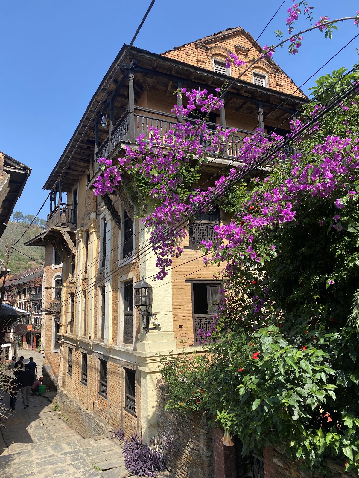 Himalayan Nature Walks