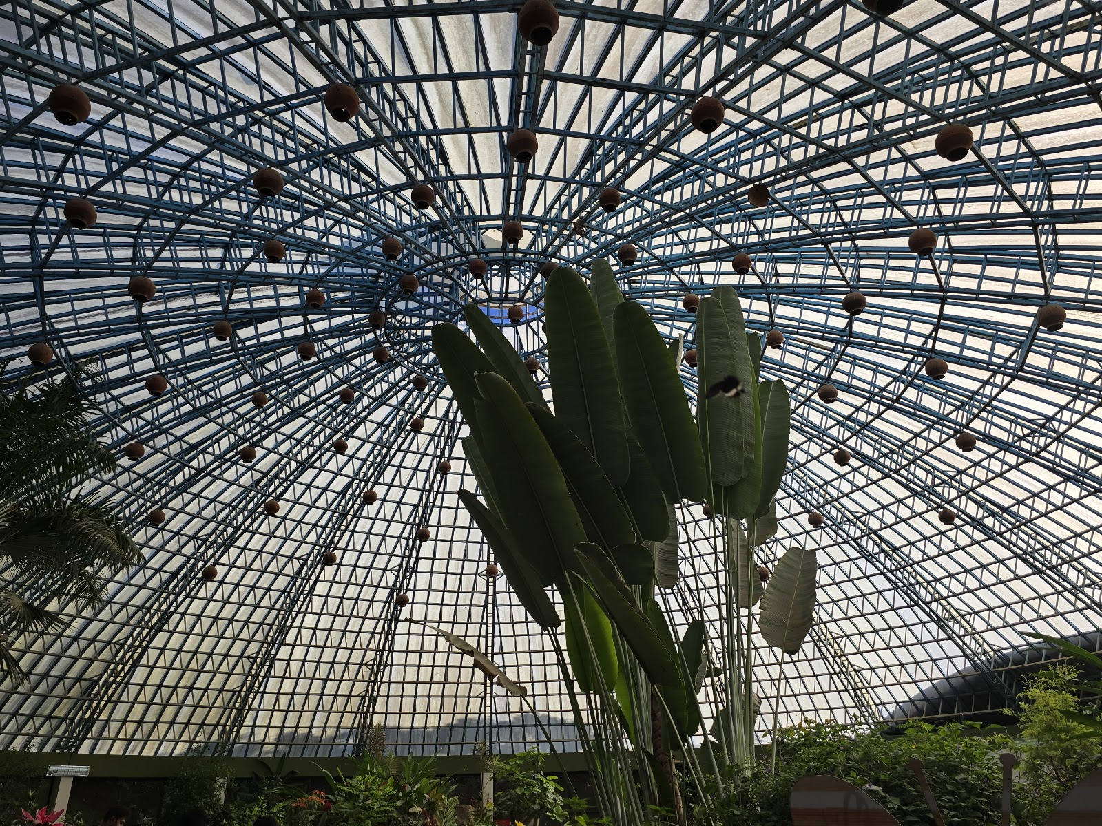 Bannerghatta National Park