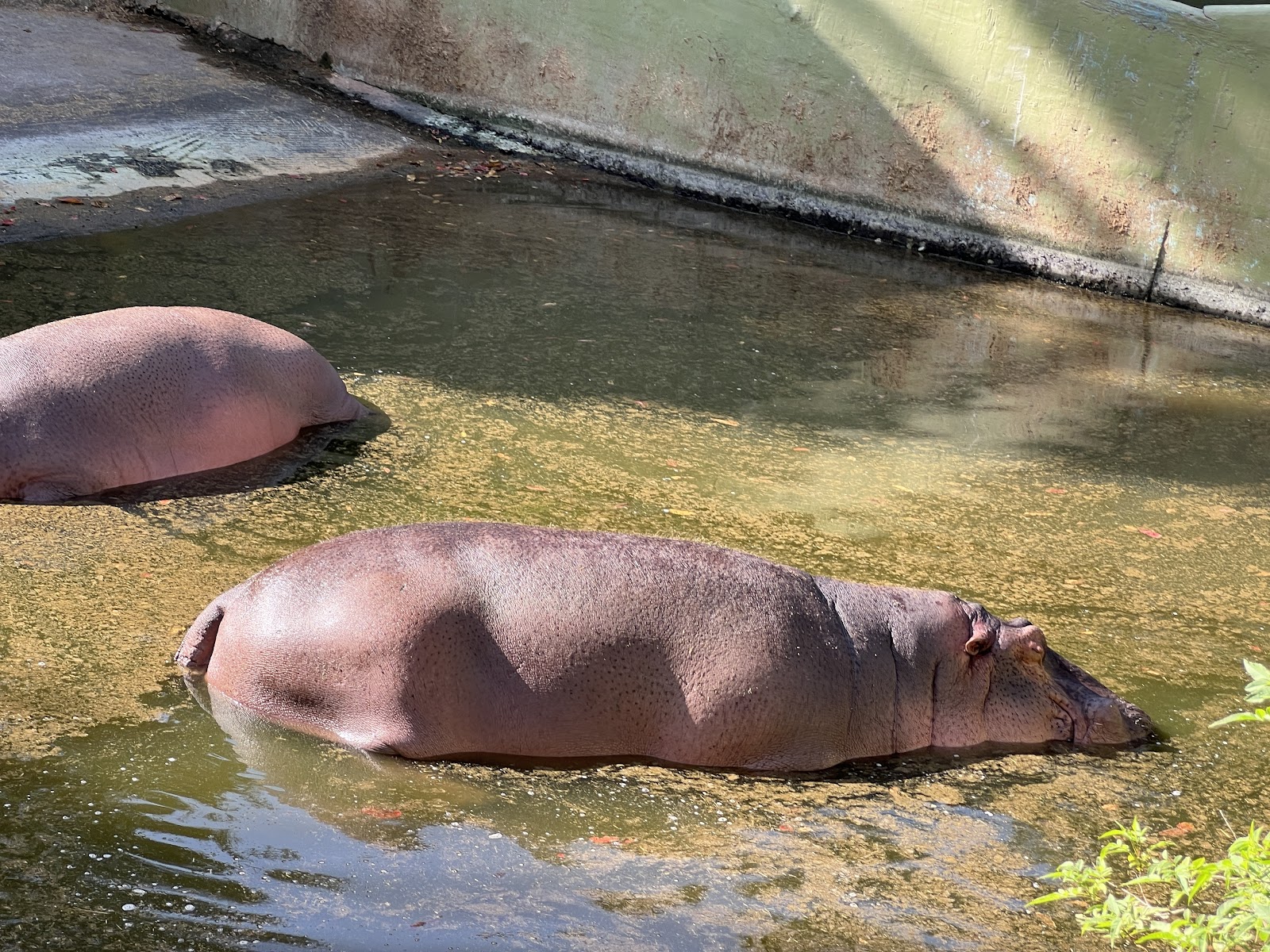 Bannerghatta National Park
