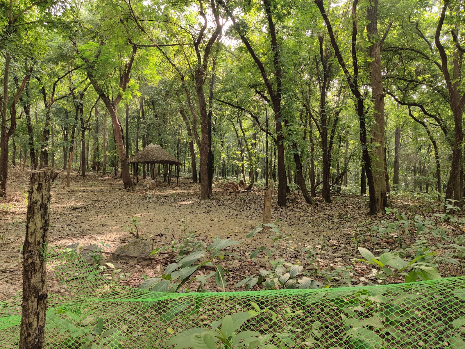 Gongajolghati Deer Park